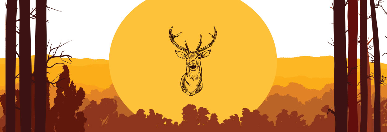 Design Layout DP17