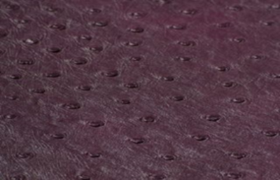 SOLA PLUM       (PURPLE)